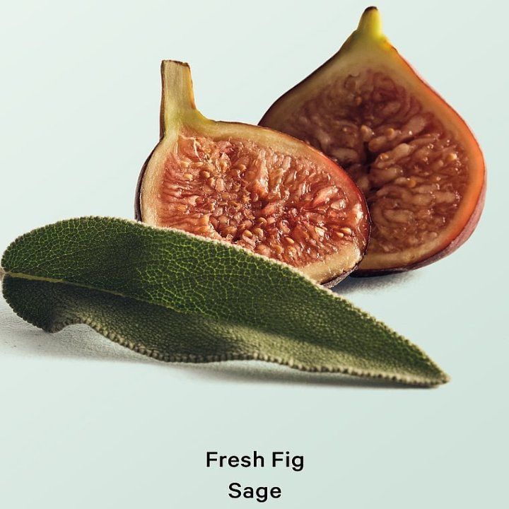 victorias-secret-fresh-fig-sage-hydrating-body-lotion-tanis-losioni-296ml-photo-2