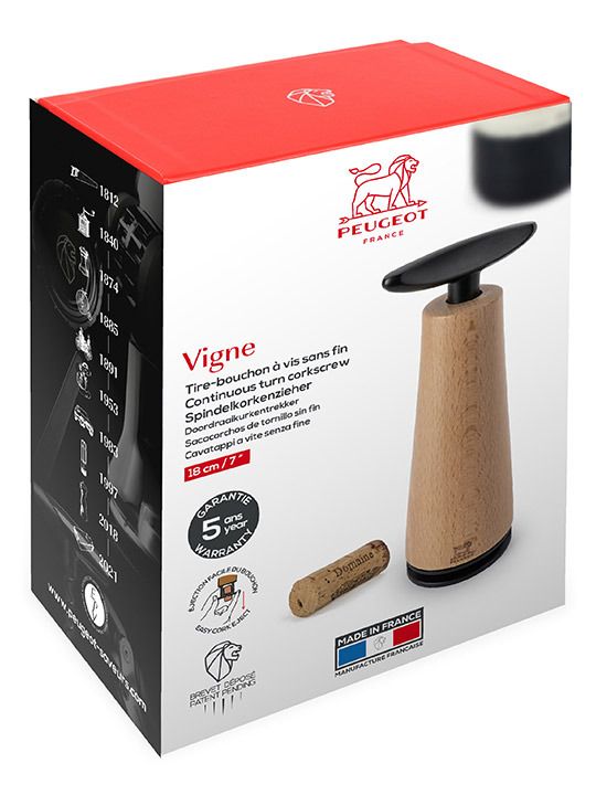 peugeot-tahiti-ghvinis-sakhsneli-photo-3