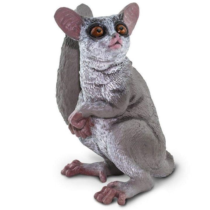 safari-bush-baby-satamasho-figura