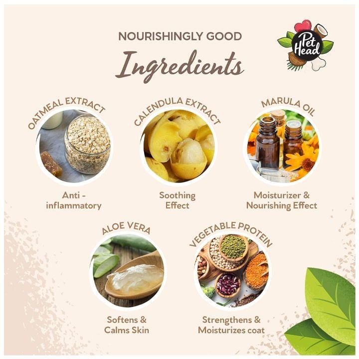 pet-head-sensitive-soul-konditsioneri-dzaghlebistvis-photo-4