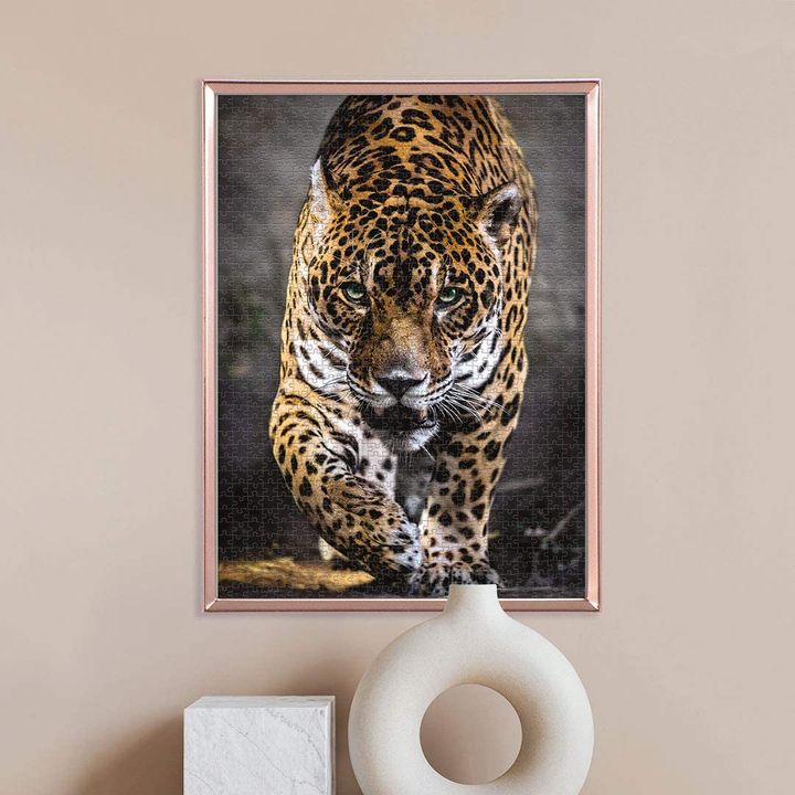 puzzle-fazli-iaguari-photo-2