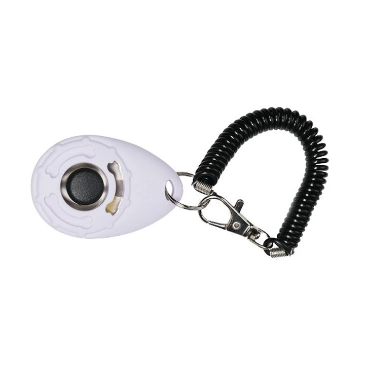 m-pets-dzaghlis-gasatsrtvneli-motsqobiloba-photo-4