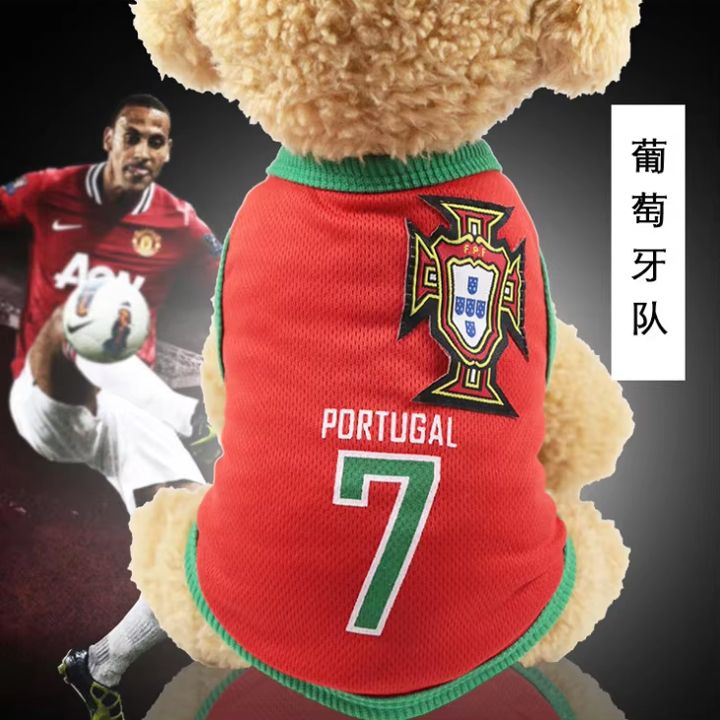 portugal-m-dzaghlis-tansatsmeli-photo-3