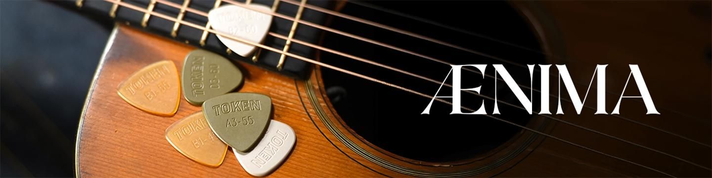 Cover photo of Aenima Store
