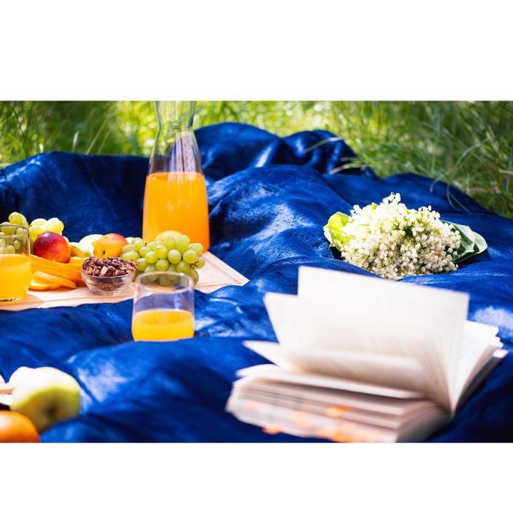 ardesto-pledi-photo-2