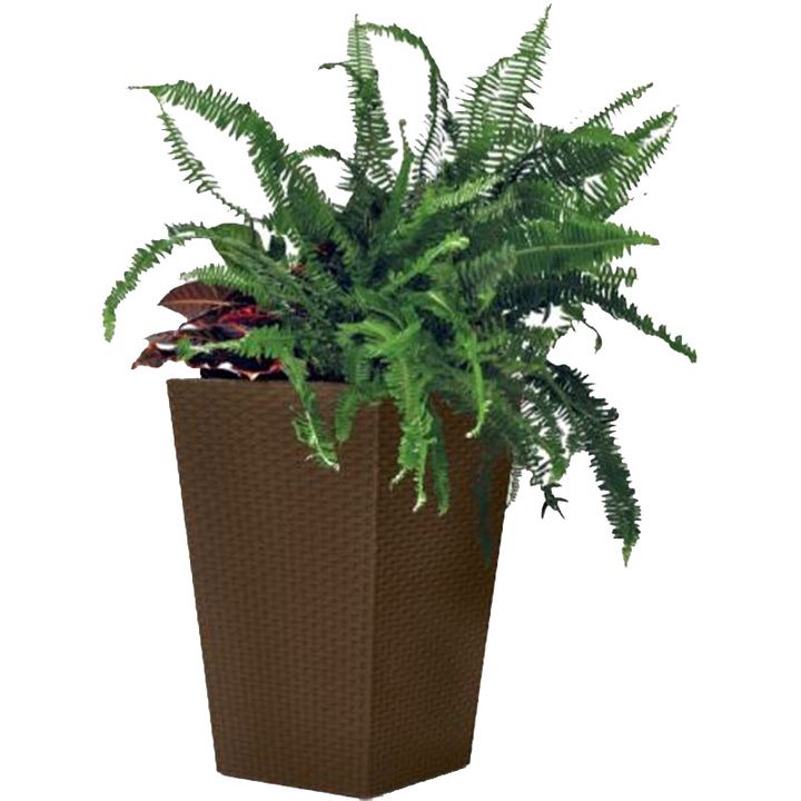 keter-small-rattan-planter-brw590-285x285x435-cm-qavisferi-qvavilis-qotani
