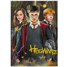 Product image of DODO ფაზლი არი პოტერი და მეგობრები