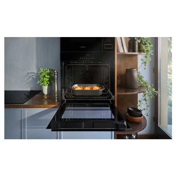 hansa-boeb697688-chasashenebeli-eleqtro-ghumeli-photo-4