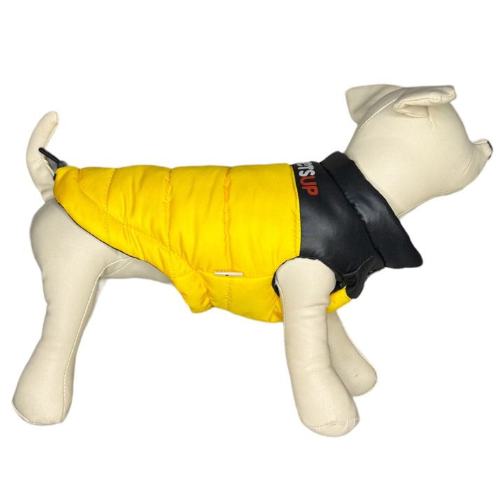 petsup-dzaghlis-tansatsmeli