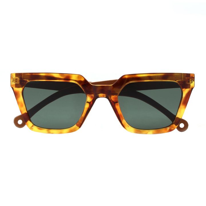 parafina-alga-gentle-tortoise-mzis-satvale