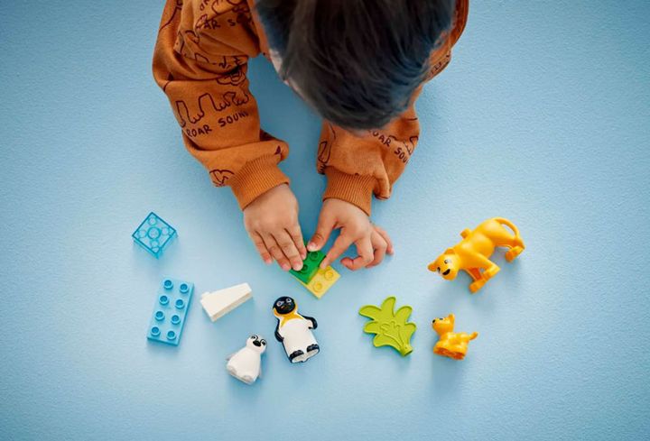 lego-lego-constructor-wild-animal-families-penguins-lions-10442-photo-3