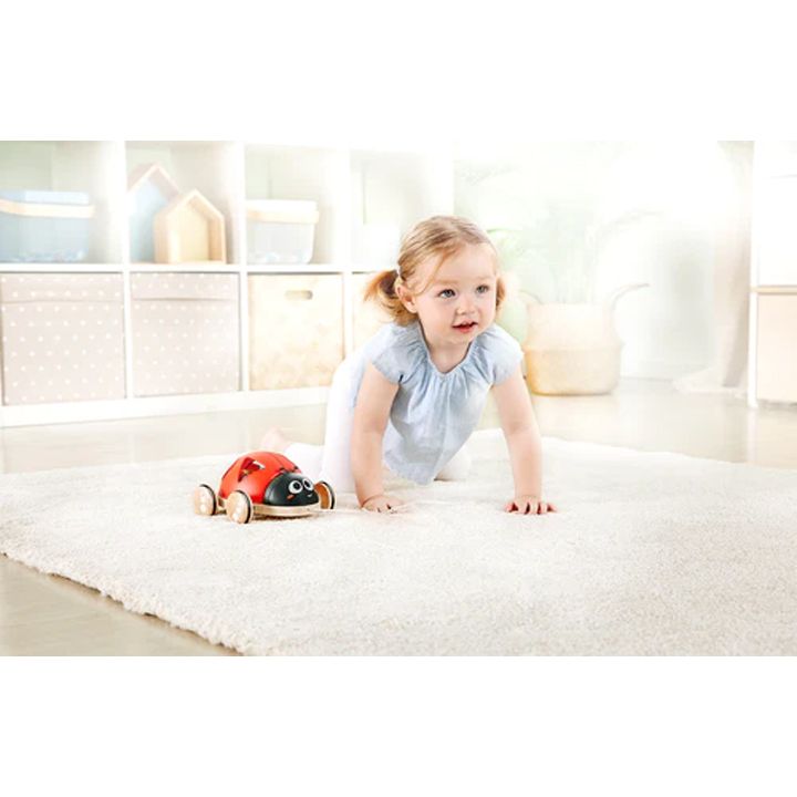 hape-khis-chiamaia-shemetsnebiti-sorteri-figurebit-photo-2