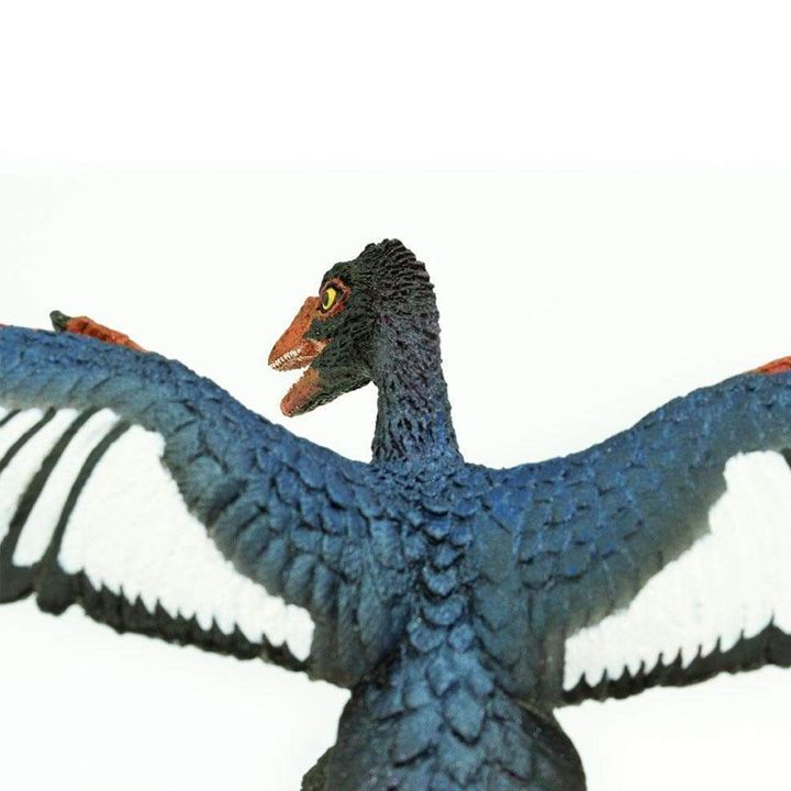 safari-archaeopteryx-toy-satamasho-figura-photo-4