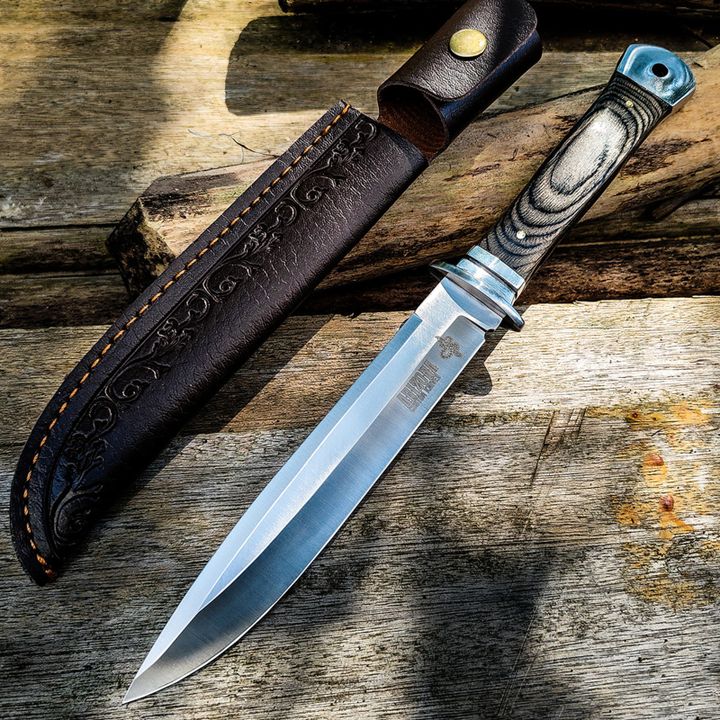 arizona-dana-photo-2