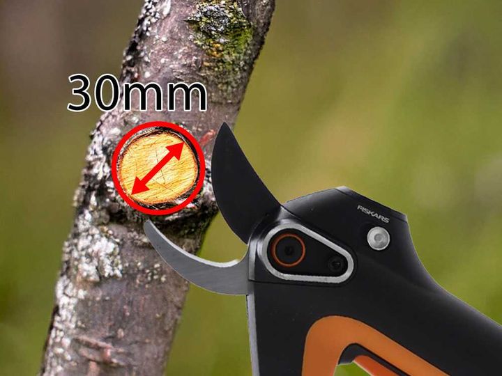 fiskars-epruner-l-bypass-tool-only-eleqtro-totsachreli-photo-2