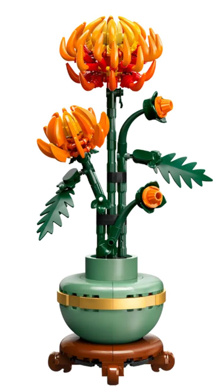 lego-sonic-chrysanthemum-asatsqobi-konstruqtori-photo-2