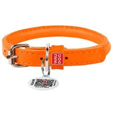 Product image of COLLAR ძაღლის საყელო