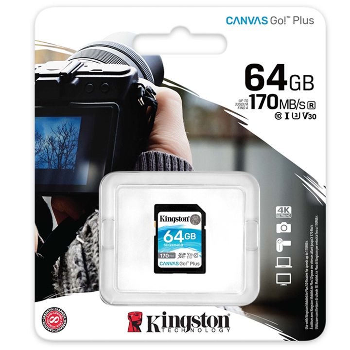 kingston-sdg3-64gb-mekhsierebis-barati-photo-3