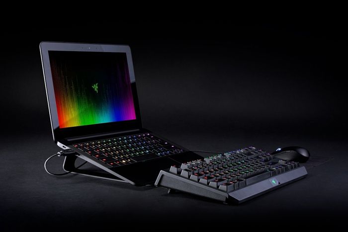 leptopis-sadgami-razer-rc21-01110100-w3m1-photo-3