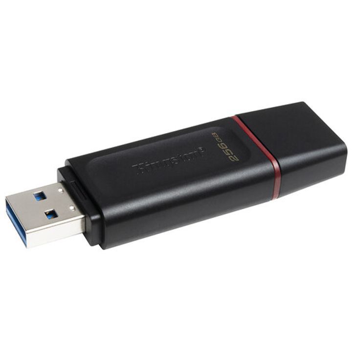 kingston-dtx-256gb-usb-flesh-mekhsiereba-photo-2
