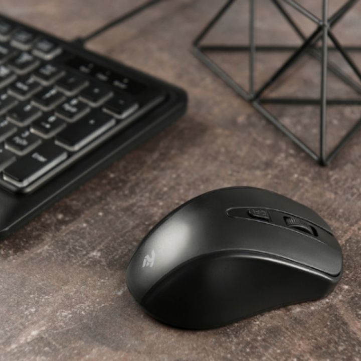 2e-mf213-wl-usadeno-mausi-photo-4