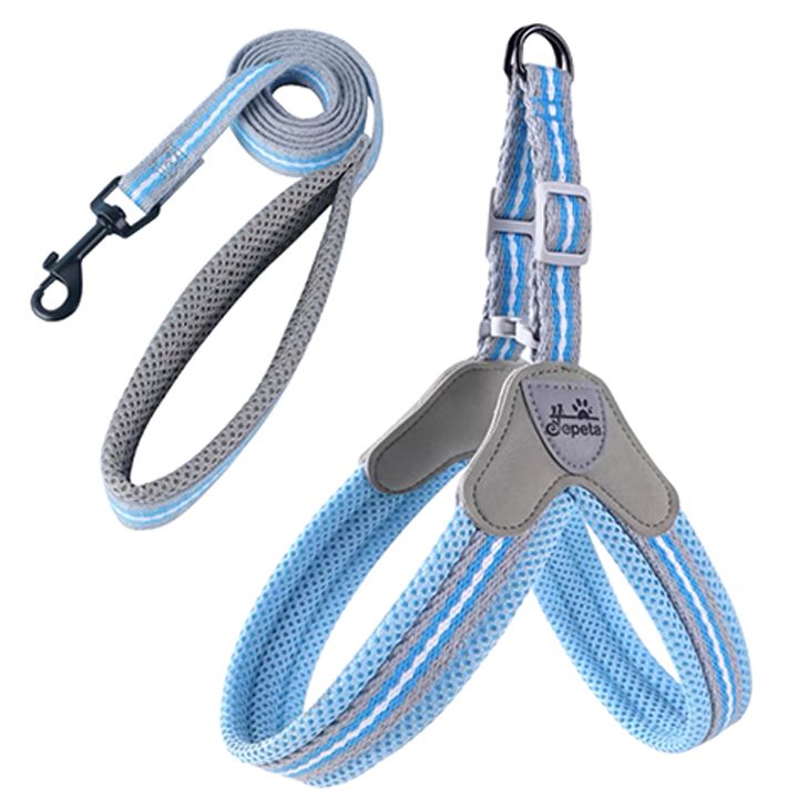 petsup-gulmkerdis-sabeli