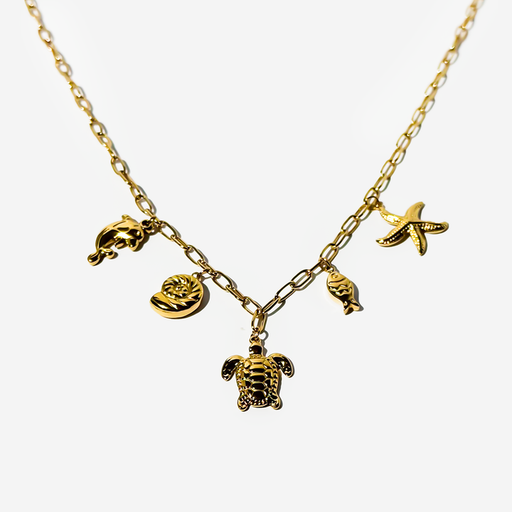 titanis-mooqrovili-qelsabami