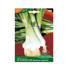 Product image of ხახვის თესლი Onion DE REBOUILLON 158-MAXIOr