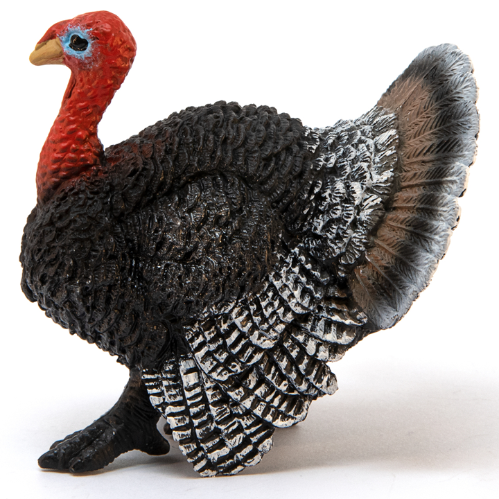 schleich-turkey-indauri-photo-2