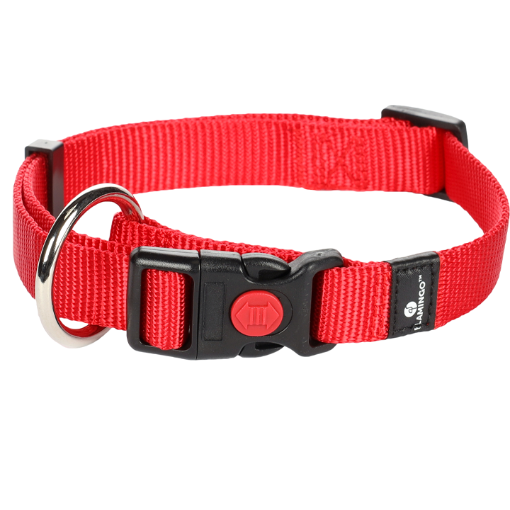 flamingo-dzaghlis-saqelo