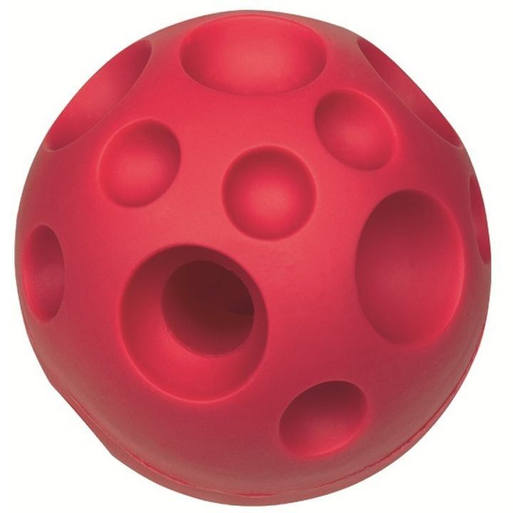 nobby-dzaghlis-satamasho