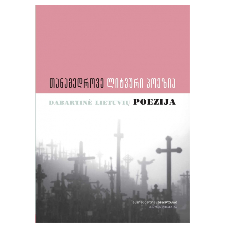 tanamedrove-litvuri-poezia