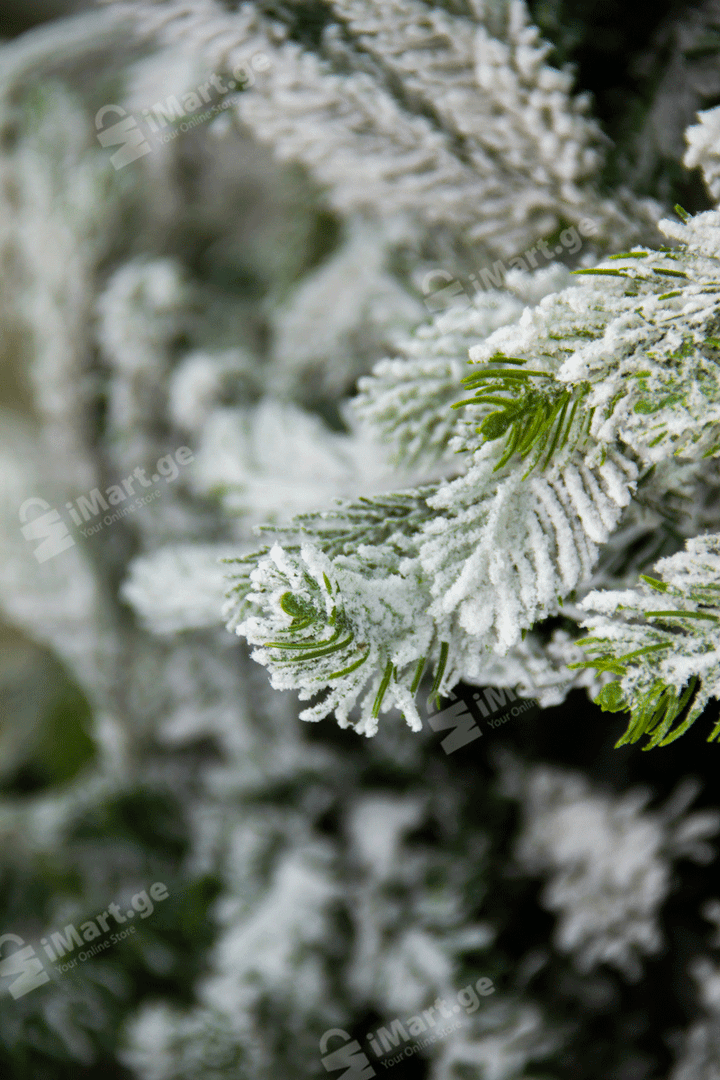 fumfula-datovlili-nadzvis-khe-240sm-photo-4