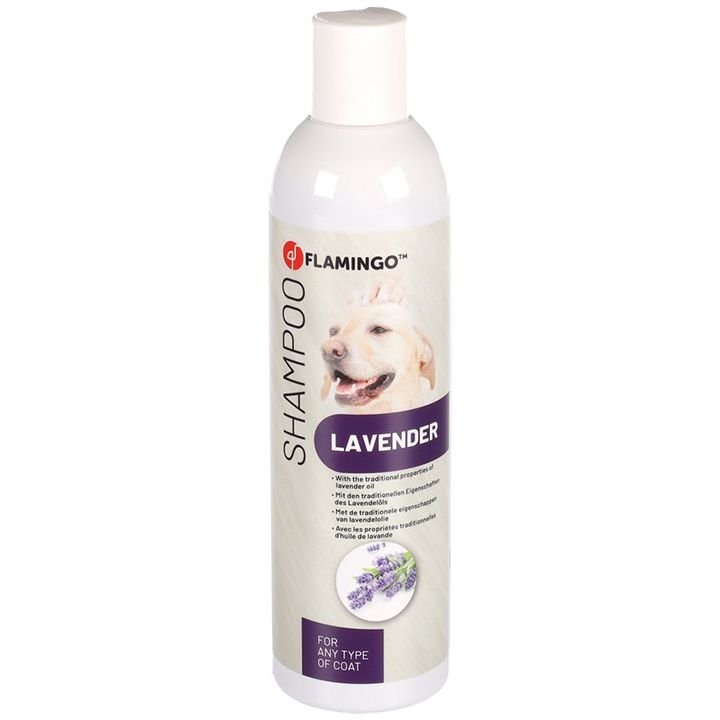flagino-shampoo-with-lavender-scent-any-coat-type-300ml-dzaghlis-shampuni