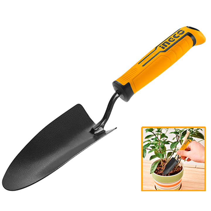 ingco-nichabi-photo-2