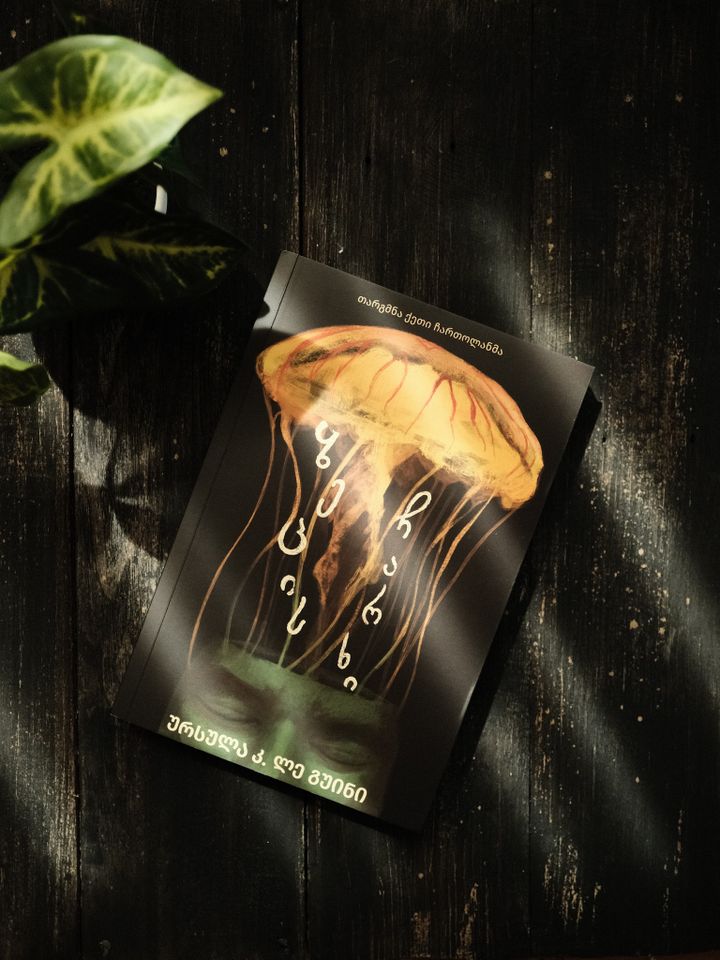 zetsis-charkhi-photo-2