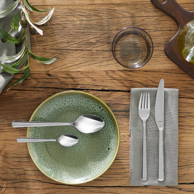 amefa-phoenix-225sm-sadilis-dana-photo-3