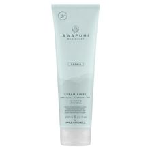 Product image of PAUL MITCHELL AWAPUHI თმის აღმდგენი ნიღაბი 250მლ