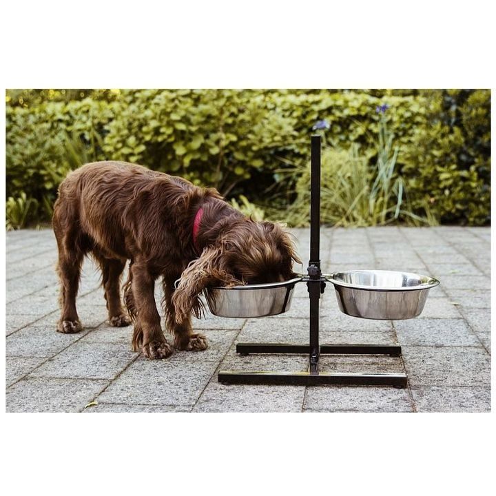 nobby-dzaghlis-ormagi-jami-photo-2