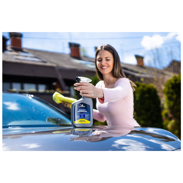 michelin-mtserebis-mosashorebeli-photo-2