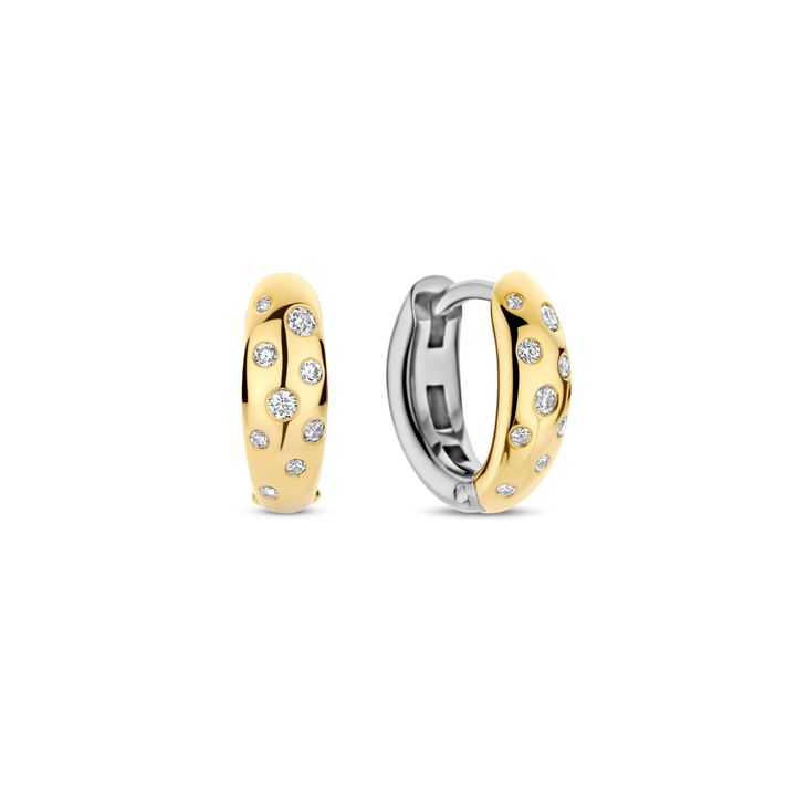 earring-78006zy-oqrosferivertskhlisferi-qalis-saqure-925-sinjis-vertskhli