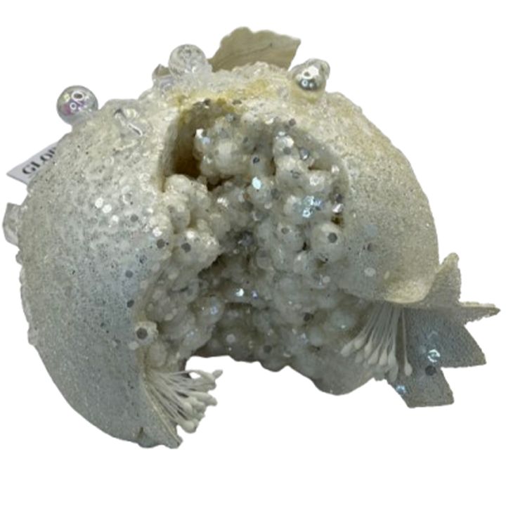 nadzvis-khis-satamasho-brotseuli-photo-2