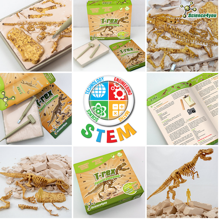 science4you-t-rex-satamasho-sametsniero-nakrebi-ipove-dinozavri-photo-3