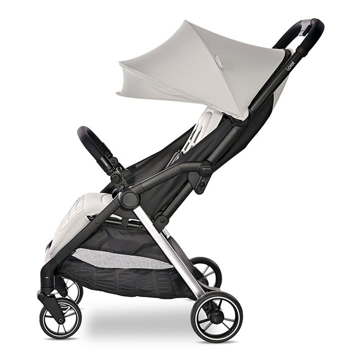 lorelli-loret-sabavshvo-etli-photo-2