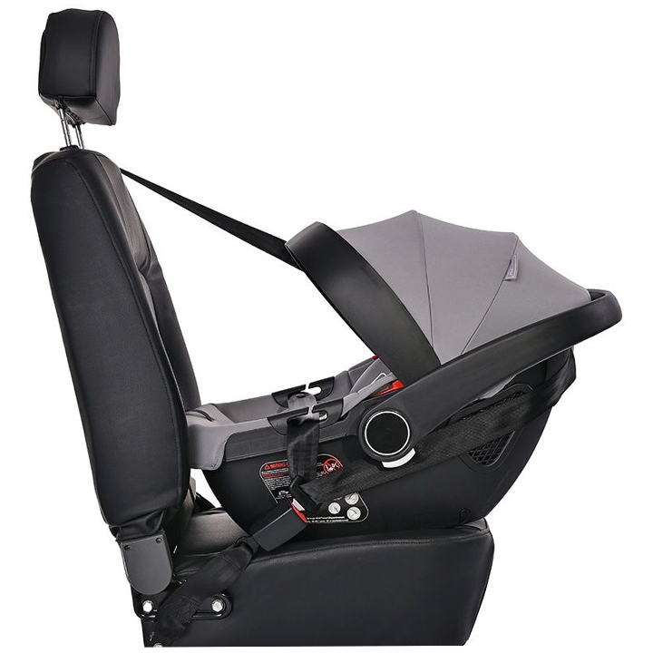 lorelli-manqanis-savardzeli-photo-3