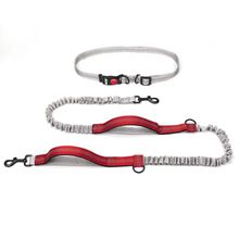 Product image of Professional Reflective Bungee Hands-Free Dog Leash ძაღლის საბელი
