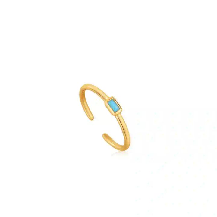 ania-haie-r033-01g-qalis-bechedi
