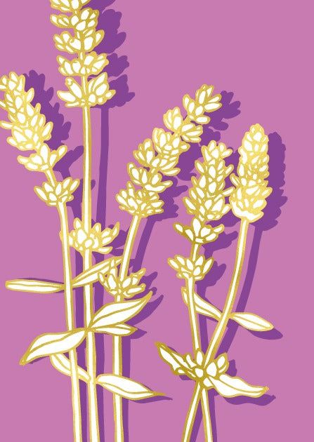 misalotsi-barati-lalia