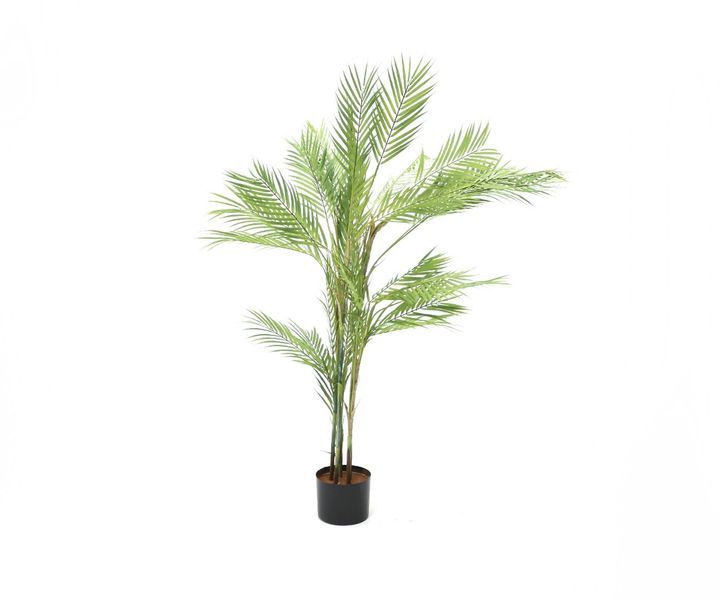 laboratory-my-home-khelovnuri-mtsenare