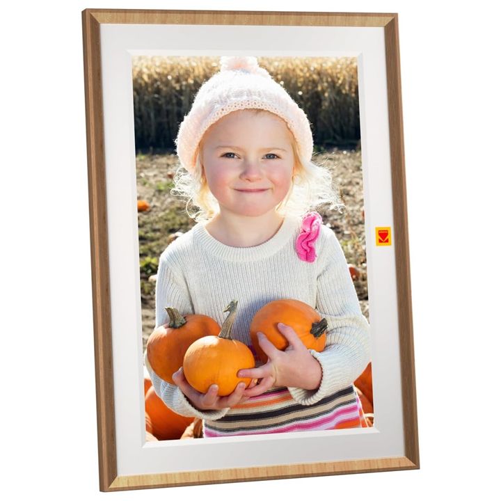 kodak-rcf-1018-burlywood-tsifruli-charcho-photo-4